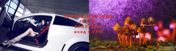 тгк Няндома