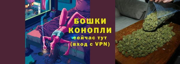 тгк Няндома
