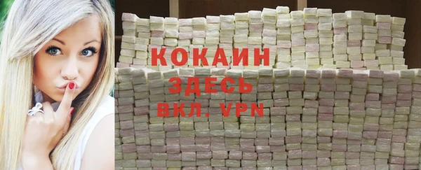 тгк Няндома