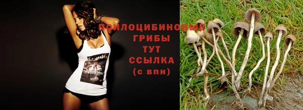 спайс Нягань