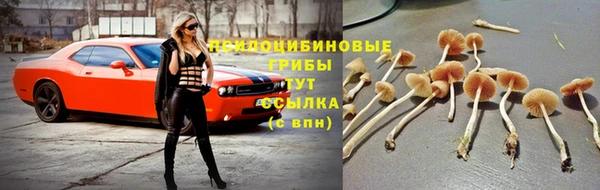 спайс Нягань