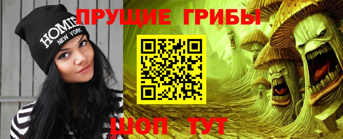 Галлюциногенные грибы Magic Shrooms Кувандык