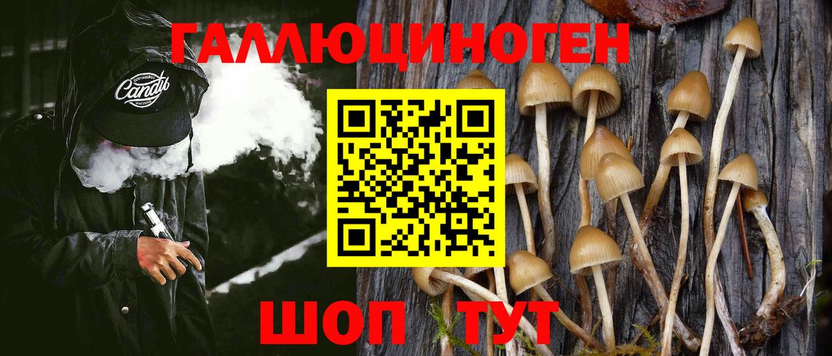 Псилоцибиновые грибы Magic Shrooms Кувандык